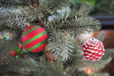 Close-up of christmas tree