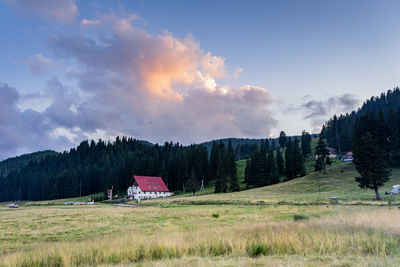 Scenic view of field against sky