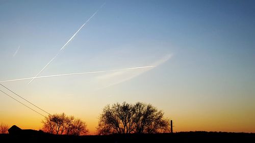 Silhouette of trees at sunset