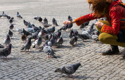 Side view of woman feeding pigeons