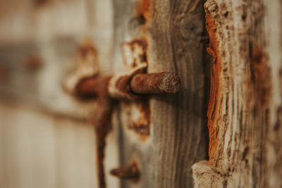 Close-up of rusty metal door