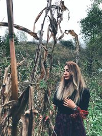 Young woman looking away while standing on tree