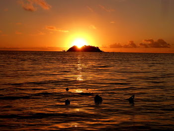 Silhouette ducks swimming in sea against sky during sunset