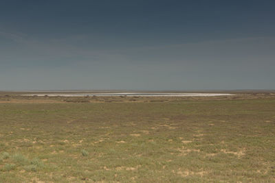 Scenic view of field against clear sky