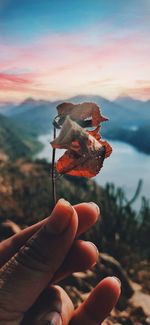 Close-up of hand holding leaf against sky