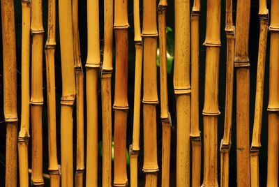 Full frame shot of bamboo