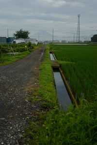 Scenic view of grassy field against cloudy sky