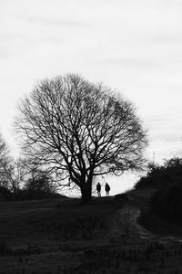 Silhouette bare tree on field against sky