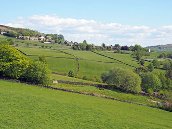 Scenic view of agricultural field against sky