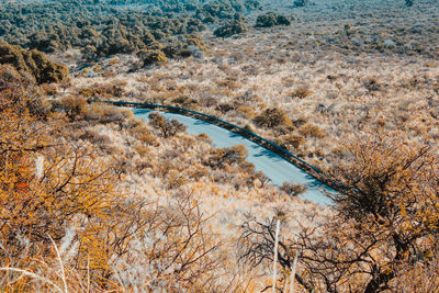 High angle view of trees on landscape during autumn