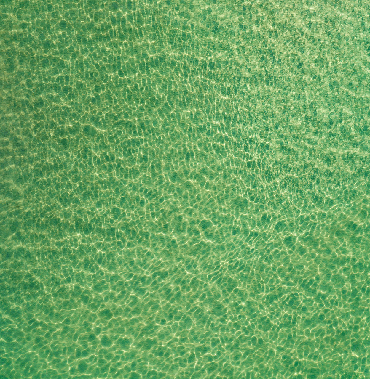 green, backgrounds, full frame, textured, grass, pattern, flooring, no people, sports, close-up, nature, lawn, net, leaf, high angle view, plant, day, abstract, textile, circle