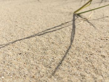 Full frame shot of sand