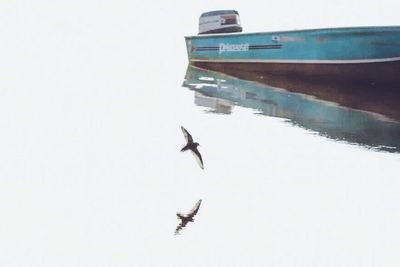 flying