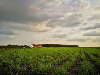 Scenic view of farm against sky