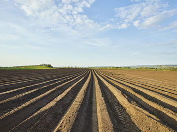 Rural landscape with plow field