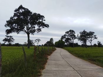 Empty road along trees on field against sky