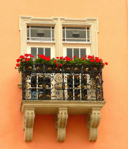 Potted plants on window of house