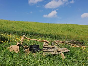 Scenic view of green field against sky