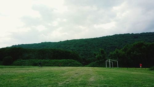 Trees on field against sky