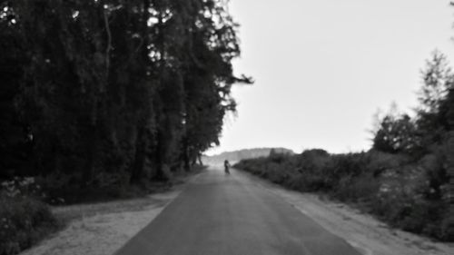 Country road along trees