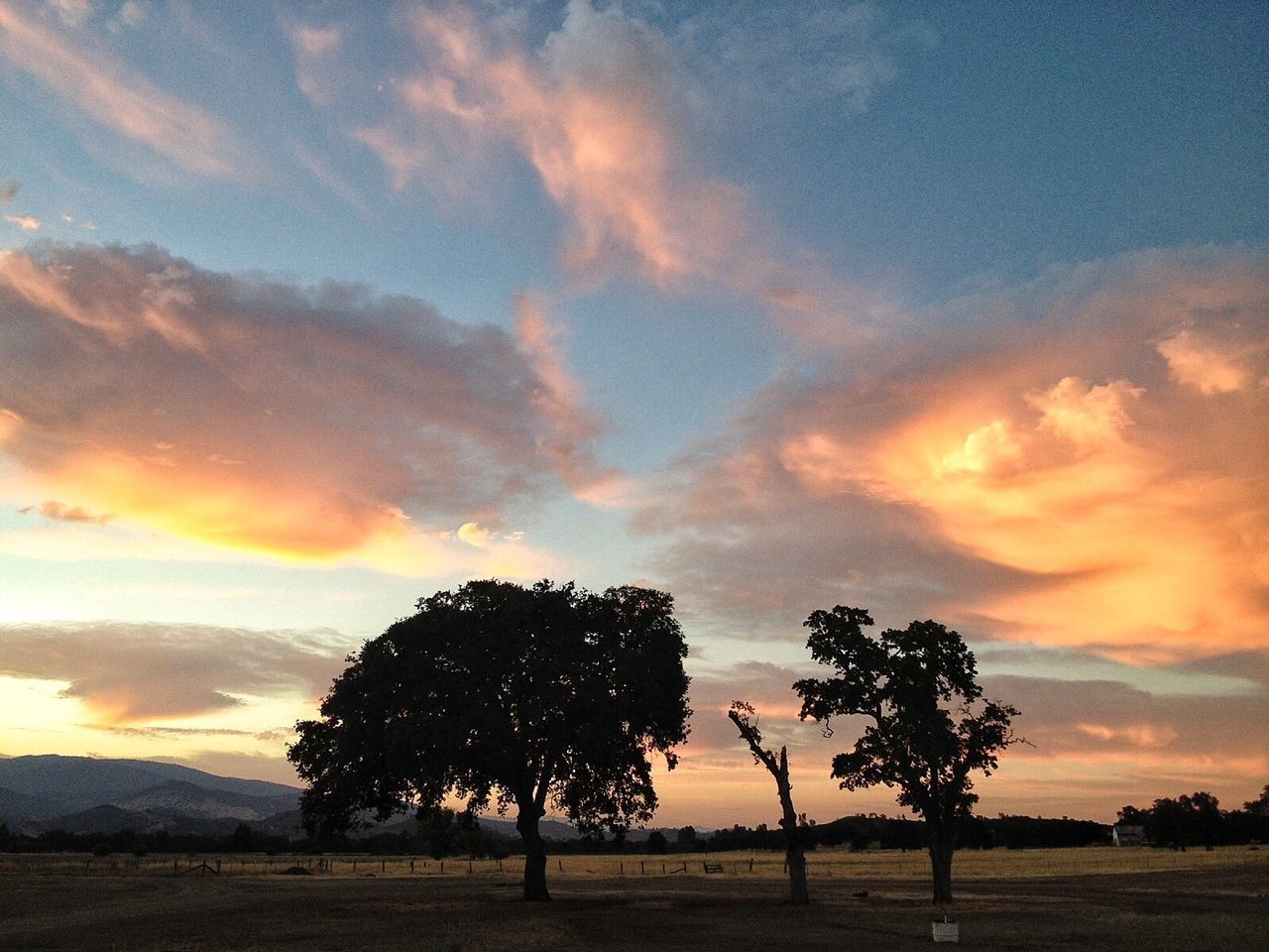 sunset, sky, tranquility, tree, tranquil scene, scenics, beauty in nature, cloud - sky, silhouette, landscape, nature, field, orange color, idyllic, cloud, dramatic sky, cloudy, non-urban scene, grass, outdoors