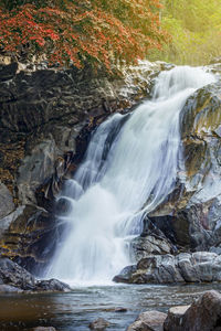 Scenic view of waterfall in forest