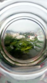 Close-up of tea in glass jar