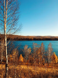 Scenic view of lake against clear blue sky