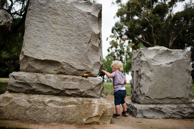 Rear view of boy standing on rock against trees