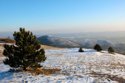 Scenic view of landscape with mountain range in background