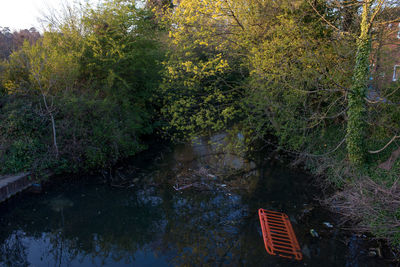 High angle view of trees by lake in forest