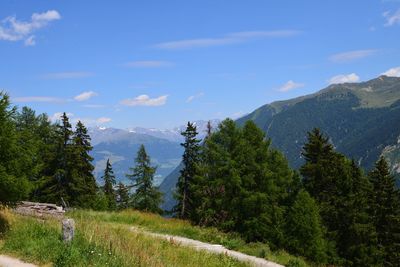 Scenic view of trees and mountains against sky