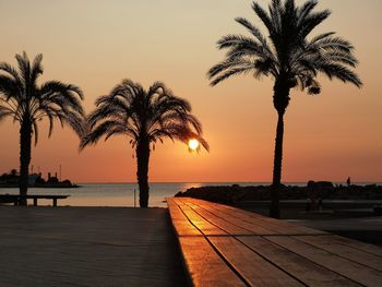 Silhouette palm tree by swimming pool against sky during sunset