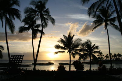 Silhouette palm trees by swimming pool against sky at sunset