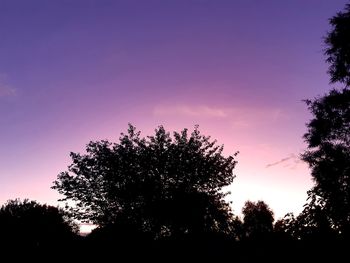 Low angle view of silhouette trees against sky at sunset