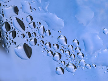 Close-up of water drops on blue surface