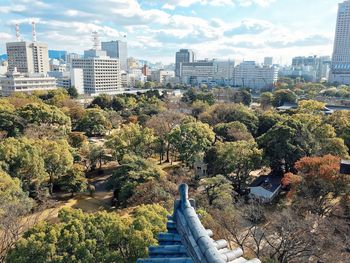 High angle view of trees and buildings in city