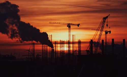 Silhouette of cranes at sunset