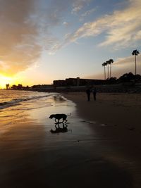 Silhouette man on beach against sky during sunset