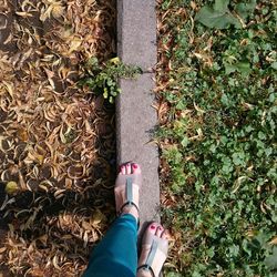 Low section of woman standing by plants