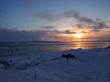 Dog on snow covered landscape against sky during sunset