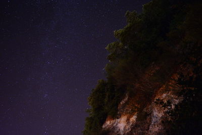 Low angle view of trees against sky at night