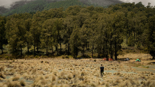 People walking on field