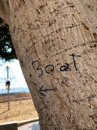 Close-up of text on tree trunk