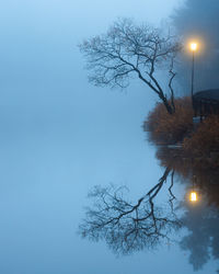 Bare tree by lake against sky at dusk