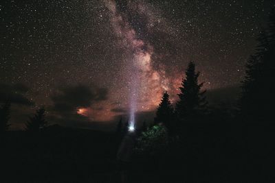 Low angle view of silhouette trees against sky at night