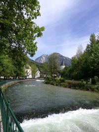 Scenic view of river by trees against sky