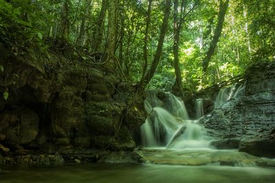 Waterfall in wild forest of manokwari, papua, indonesia