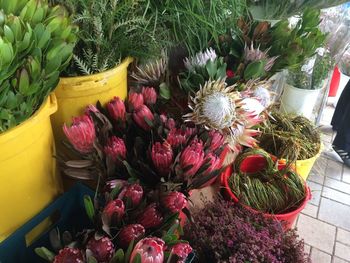 High angle view of various flowers for sale in market