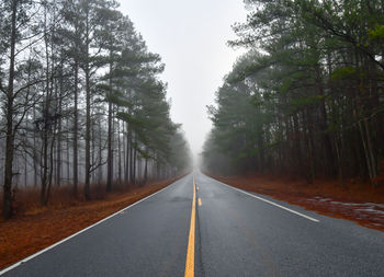 Road amidst bare trees